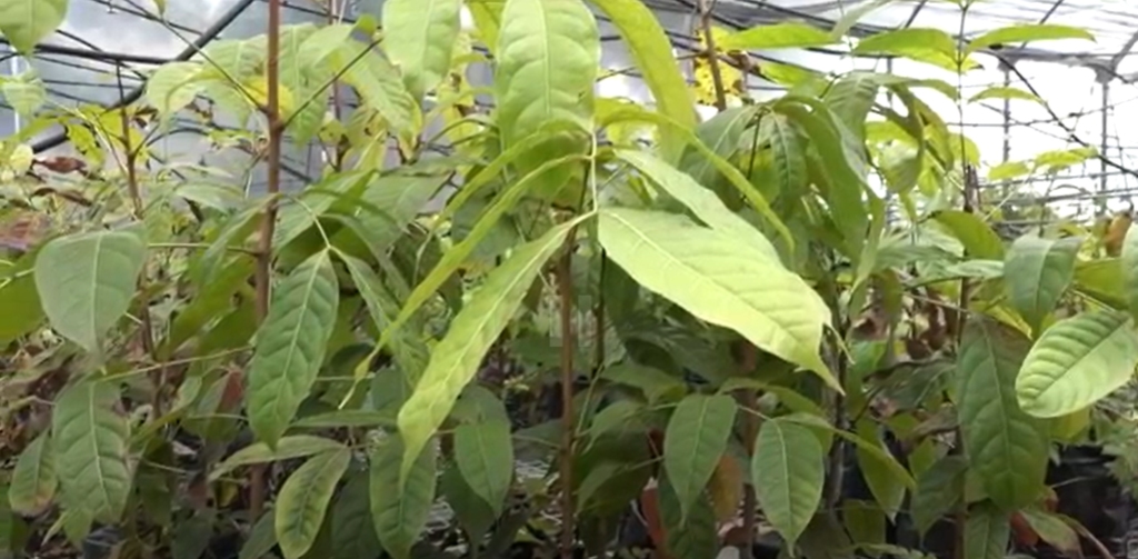 ecosistemas 1