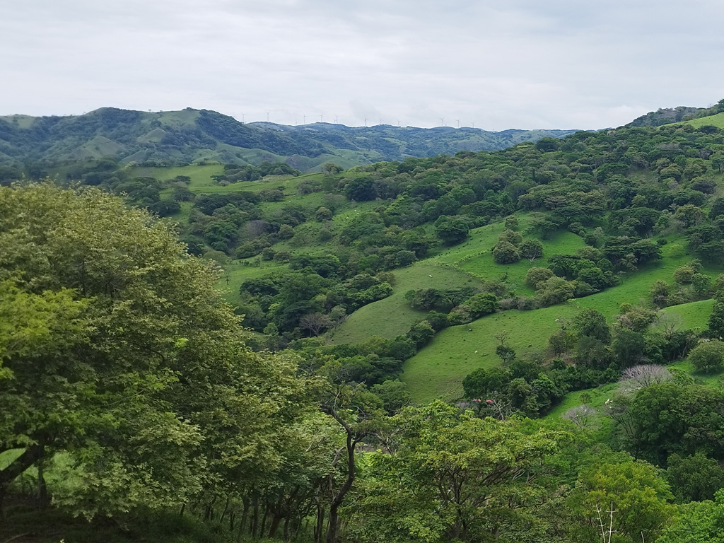 ecosistemas 2