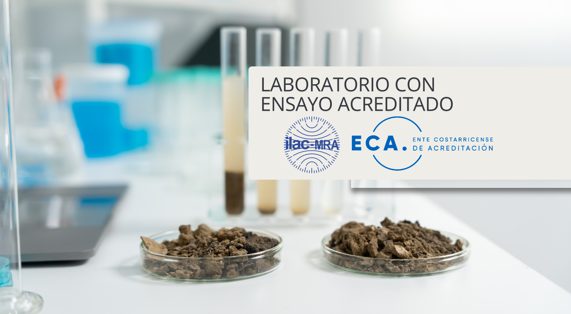 Análisis de Suelos y Foliares